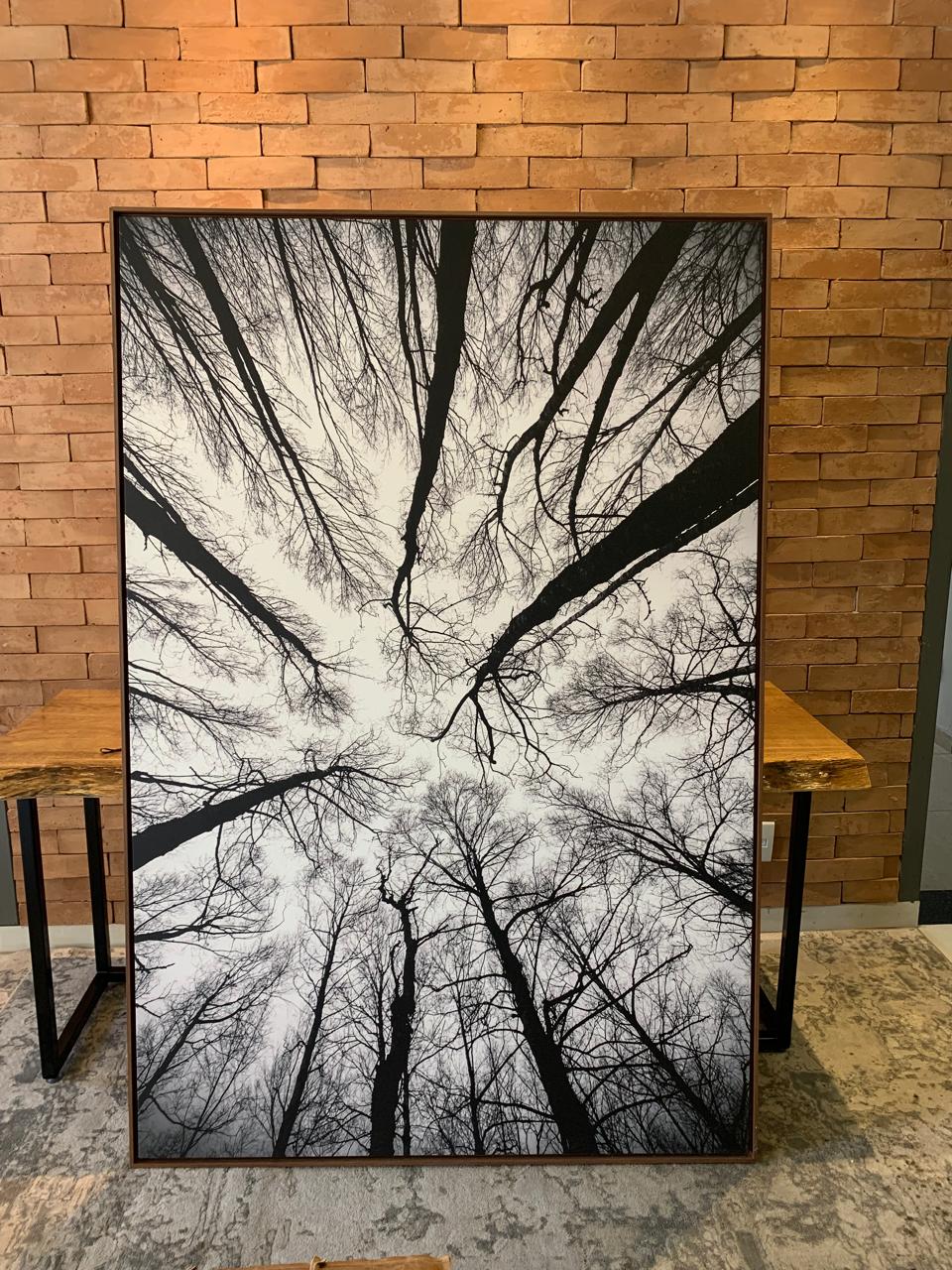 SDPM-0066 | QUADRO | 180X120